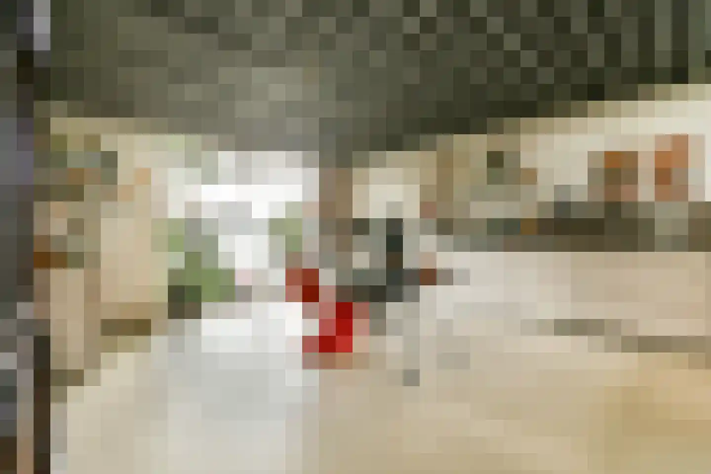 Brinklaan 129 Bussum thumbnail 7