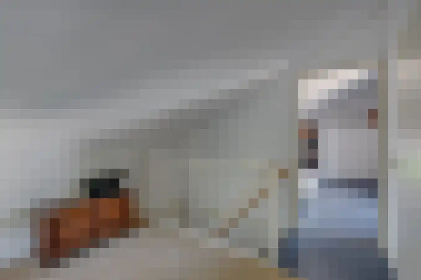 Brinklaan 13 Ruurlo thumbnail 17