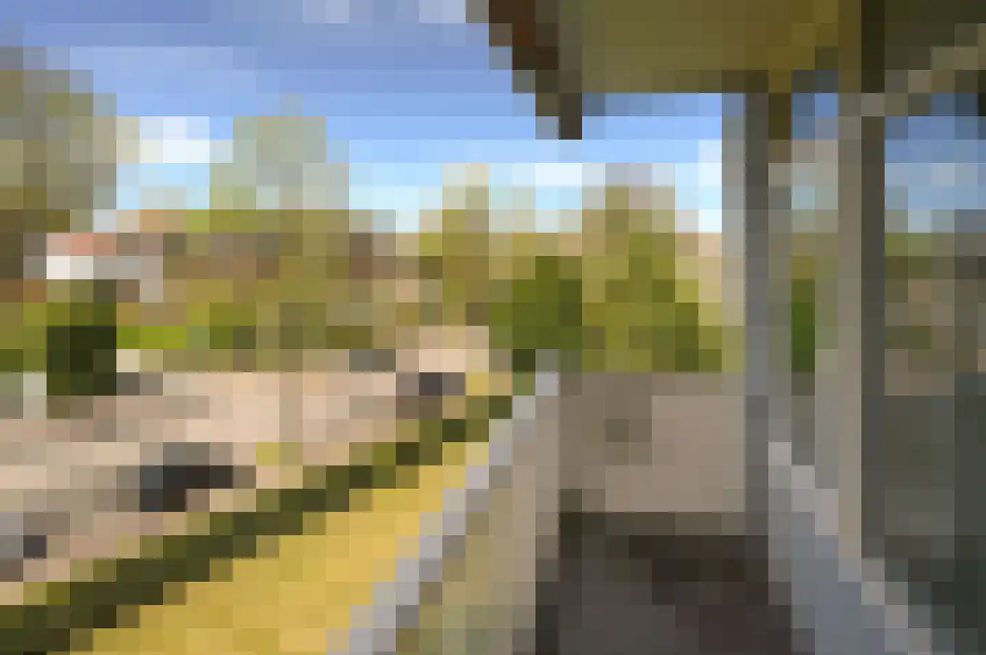 Brinklaan 135 B Bussum thumbnail 8