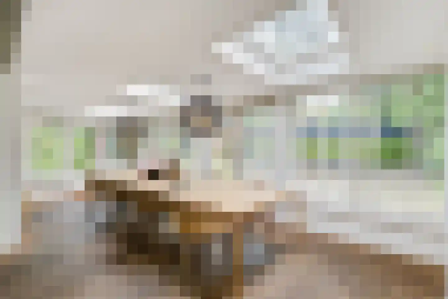 Brinklaan 153 Bussum thumbnail 18