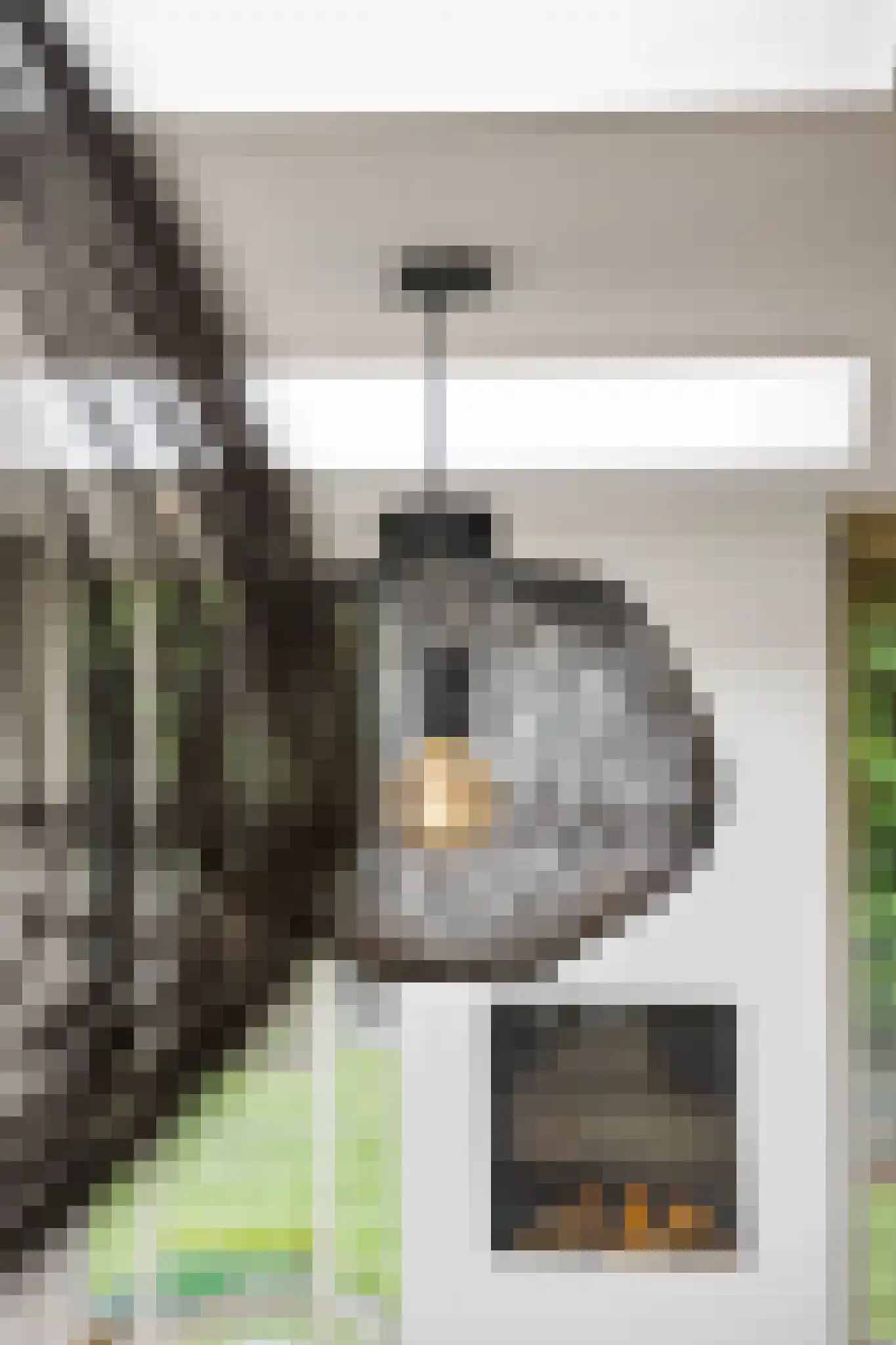 Brinklaan 153 Bussum thumbnail 19