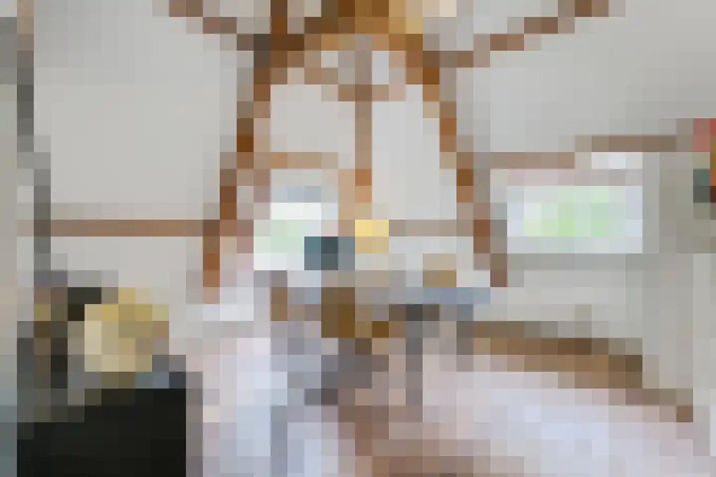 Brinklaan 153 Bussum thumbnail 43