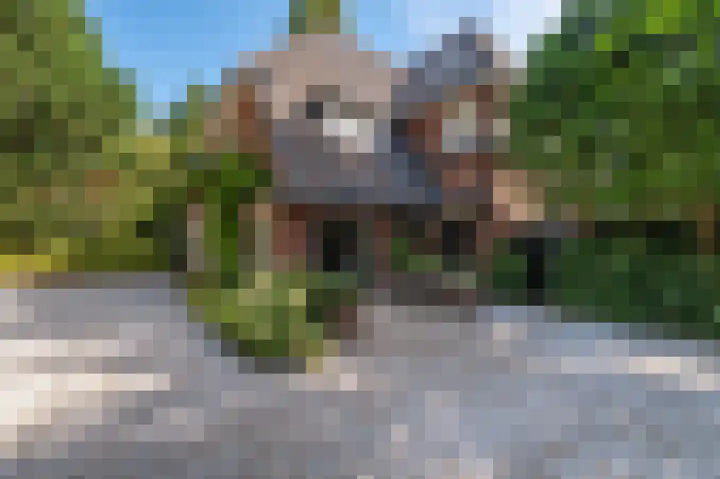 Brinklaan 153 Bussum thumbnail 5