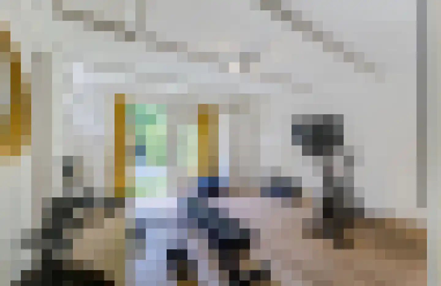Brinklaan 153 Bussum thumbnail 56