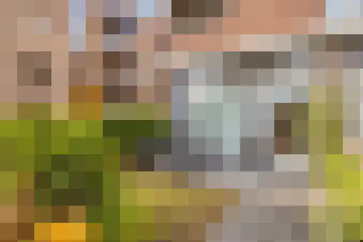 Brinklaan 158 Apeldoorn thumbnail 23