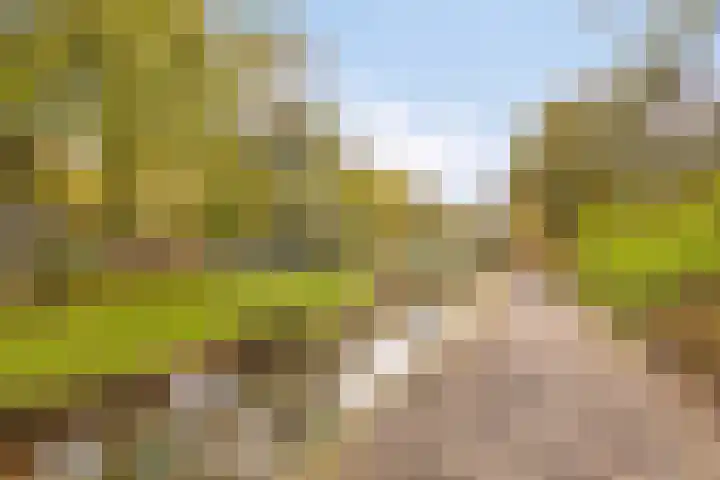 Brinklaan 158 Apeldoorn thumbnail 25