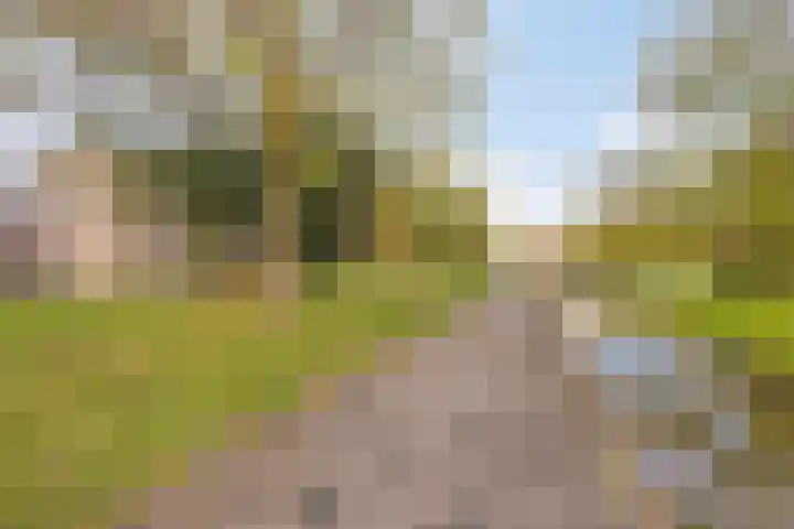 Brinklaan 158 Apeldoorn thumbnail 26