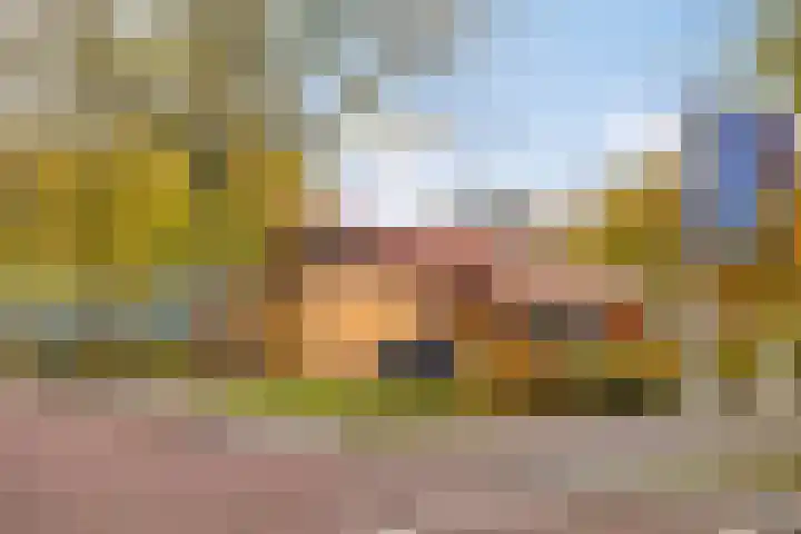 Brinklaan 158 Apeldoorn thumbnail 27