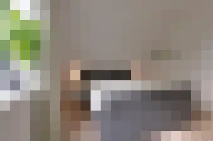 Brinklaan 16 Nooitgedacht thumbnail 26