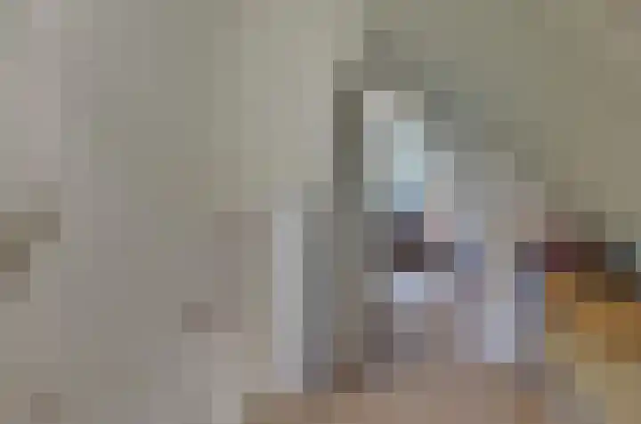 Brinklaan 16 Nooitgedacht thumbnail 35