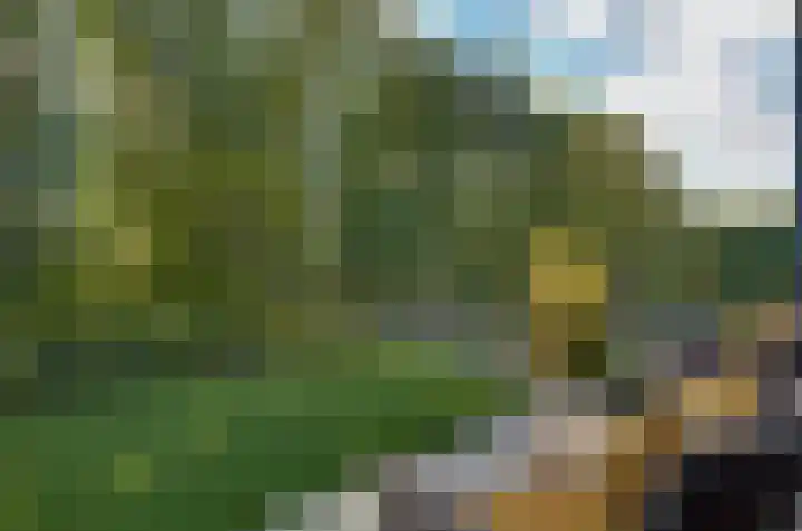 Brinklaan 16 Nooitgedacht thumbnail 4