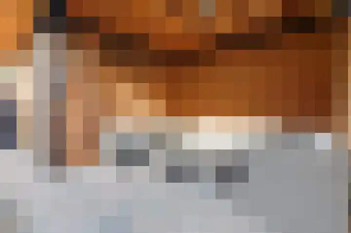 Brinklaan 16 Nooitgedacht thumbnail 44