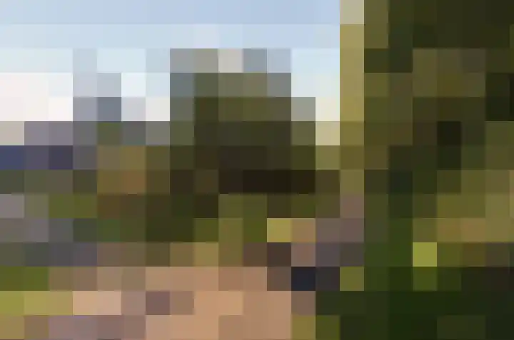Brinklaan 16 Nooitgedacht thumbnail 49