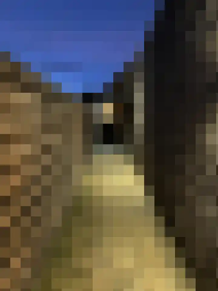 Brinklaan 16 Nooitgedacht thumbnail 52