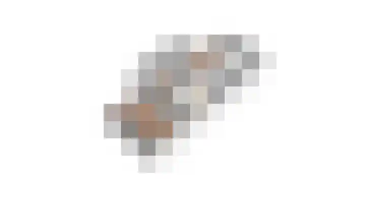 Brinklaan 16 Nooitgedacht thumbnail 58