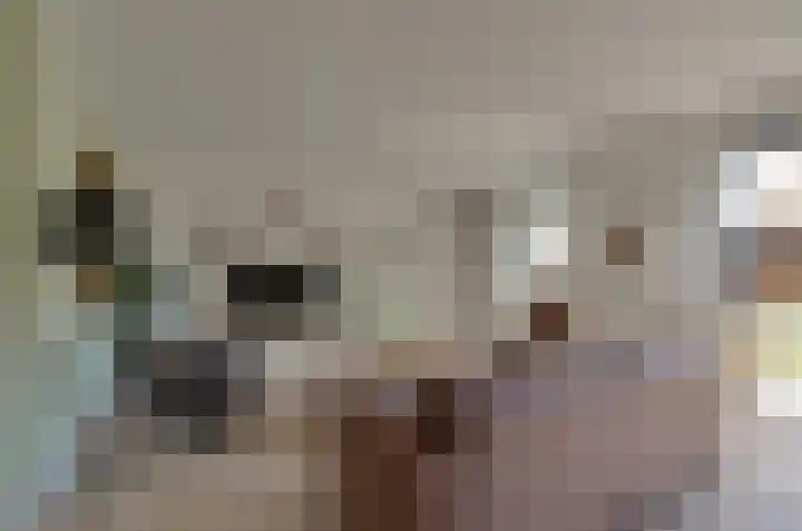 Brinklaan 16 Nooitgedacht thumbnail 6