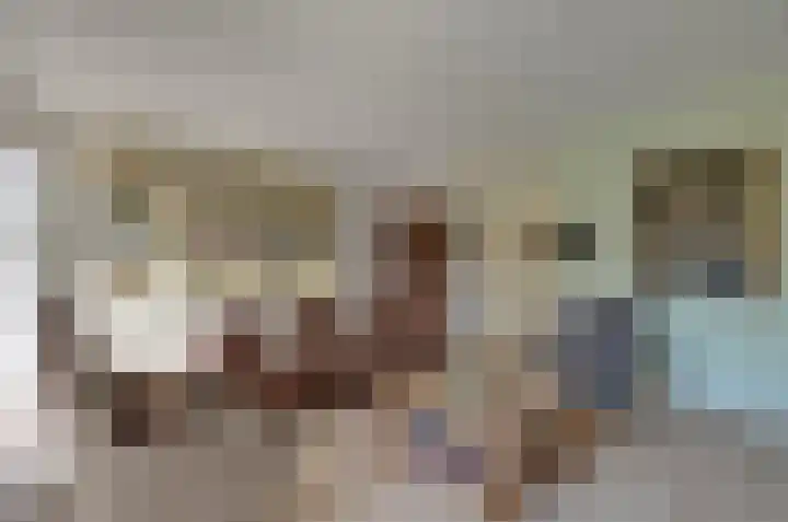 Brinklaan 16 Nooitgedacht thumbnail 8