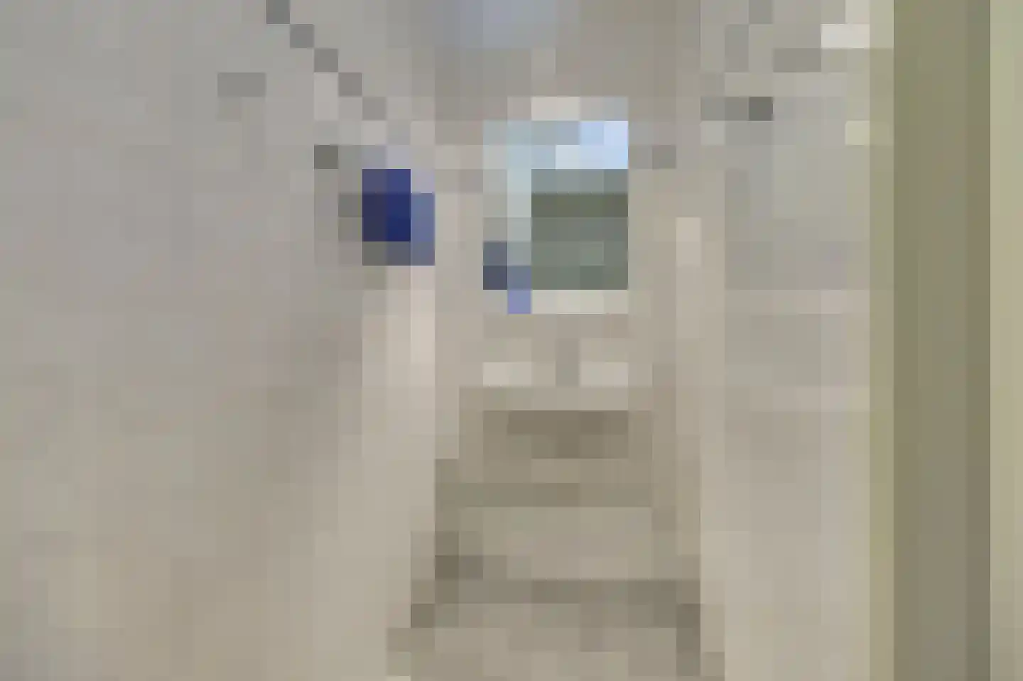 Brinklaan 2 Ruurlo thumbnail 13