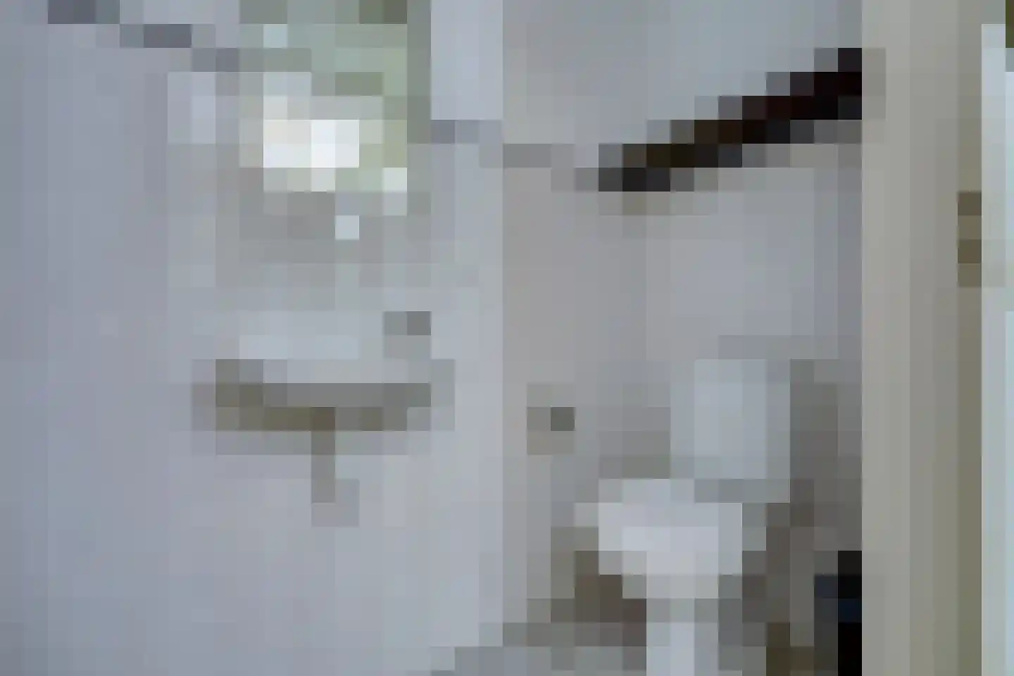 Brinklaan 2 Ruurlo thumbnail 21