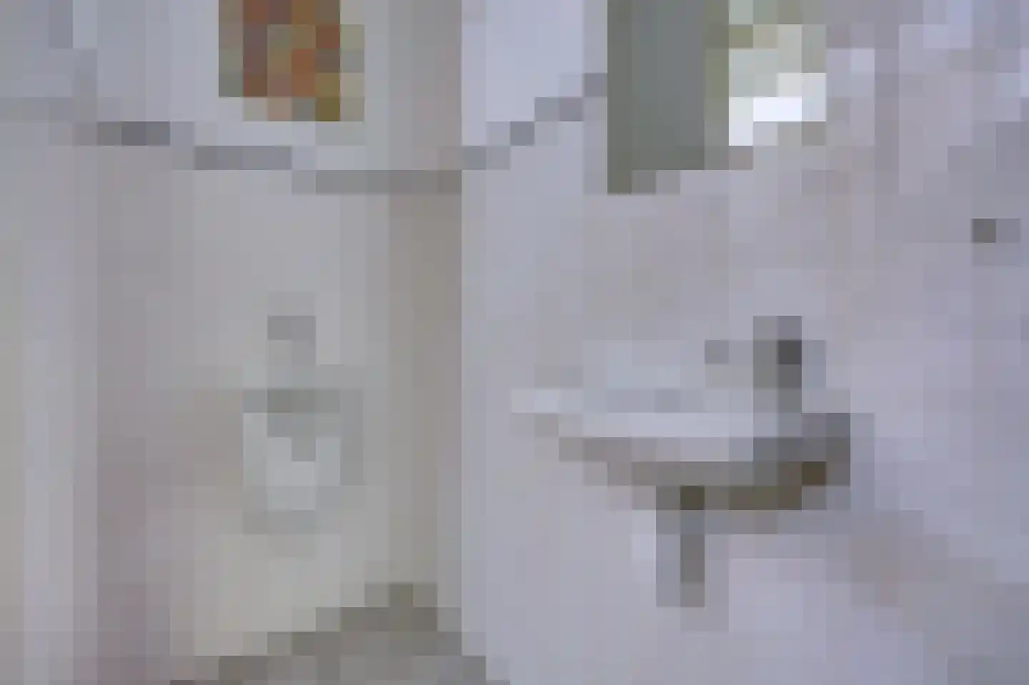 Brinklaan 2 Ruurlo thumbnail 22