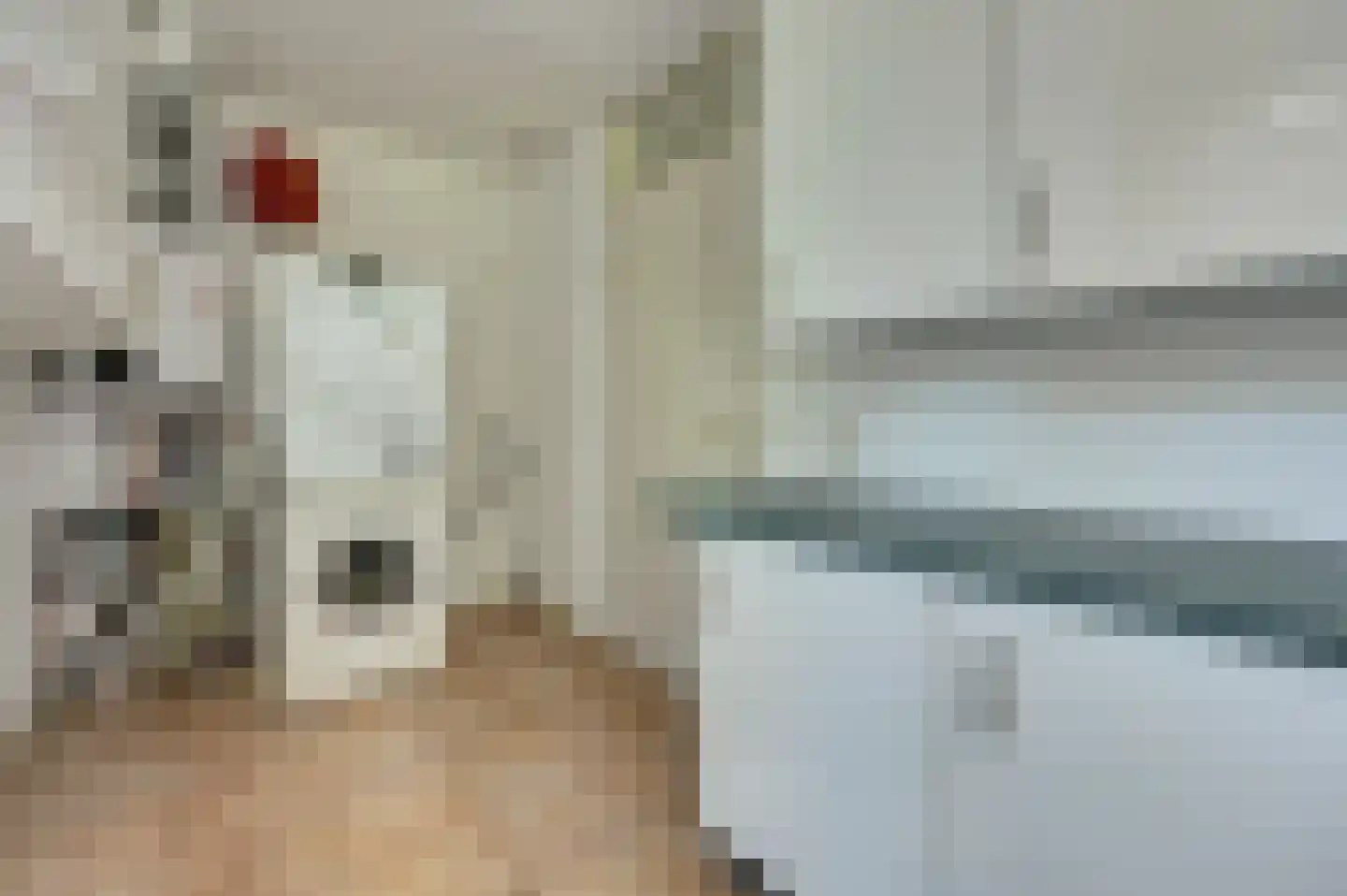 Brinklaan 2 Ruurlo thumbnail 23
