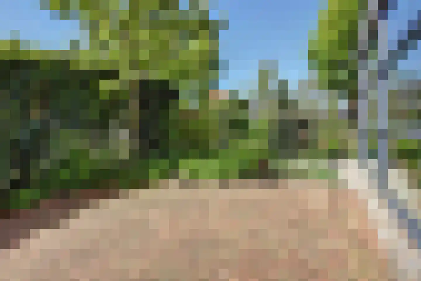 Brinklaan 2 Ruurlo thumbnail 34