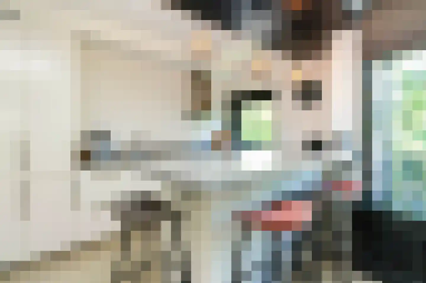 Brinklaan 203 Bussum thumbnail 12