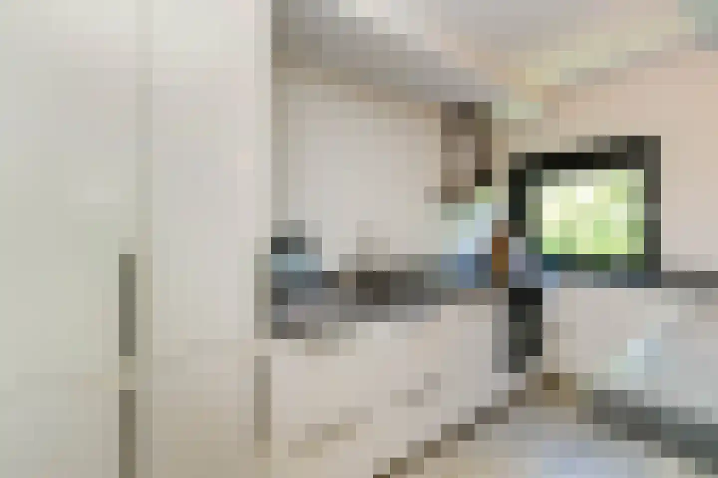 Brinklaan 203 Bussum thumbnail 13