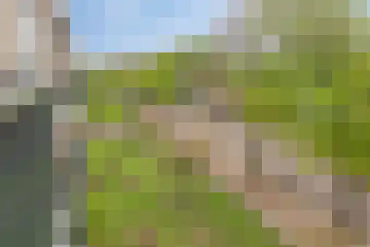 Brinklaan 207 Bussum thumbnail 10