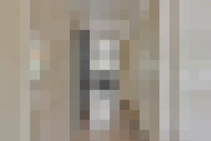 Brinklaan 207 Bussum thumbnail 12