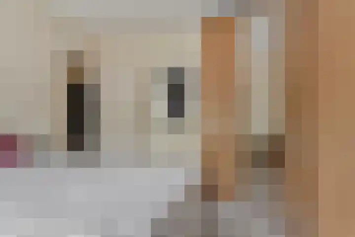 Brinklaan 207 Bussum thumbnail 15
