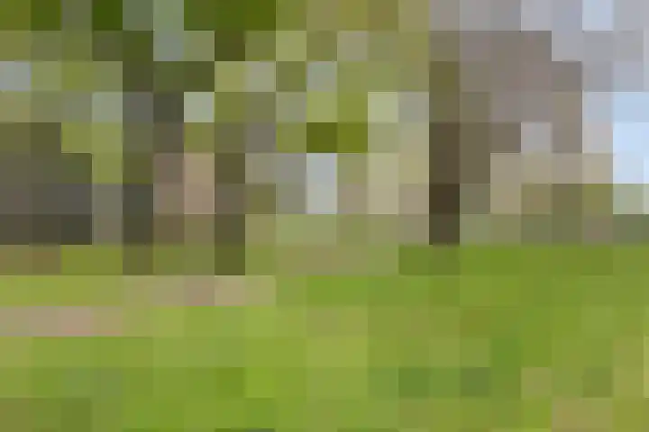 Brinklaan 207 Bussum thumbnail 20