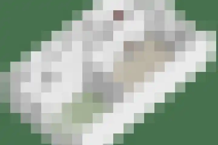 Brinklaan 207 Bussum thumbnail 24