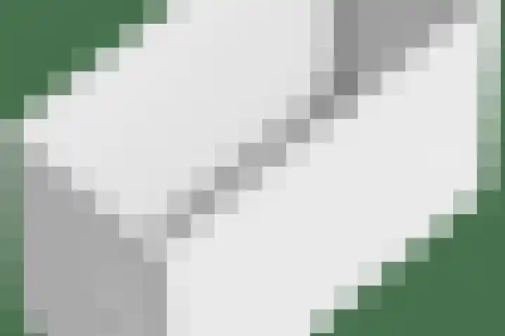 Brinklaan 207 Bussum thumbnail 26