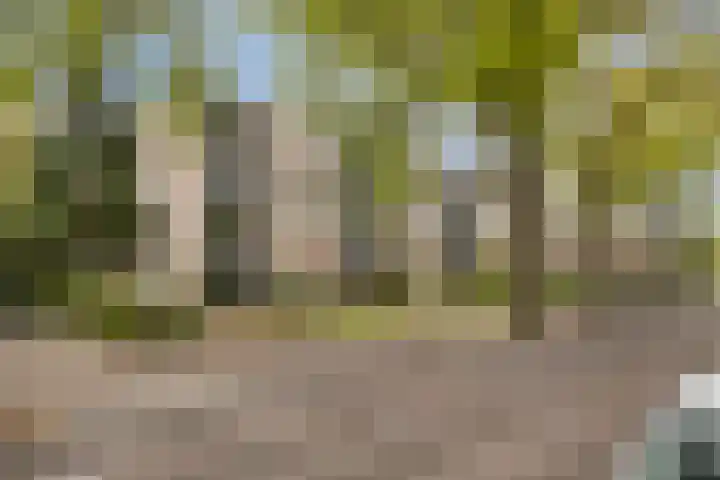 Brinklaan 207 Bussum thumbnail 27