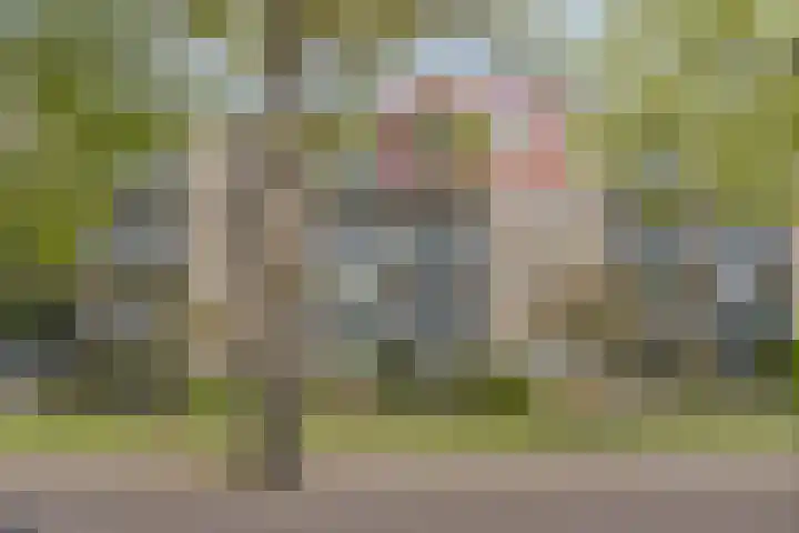 Brinklaan 207 Bussum thumbnail 4