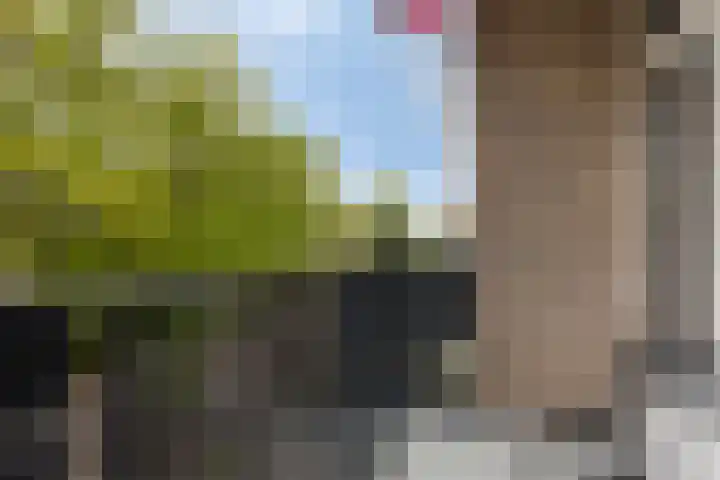 Brinklaan 207 Bussum thumbnail 9