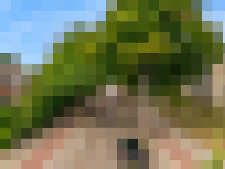 Brinklaan 213 Bussum thumbnail 15