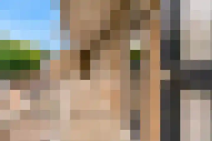 Brinklaan 213 Bussum thumbnail 18