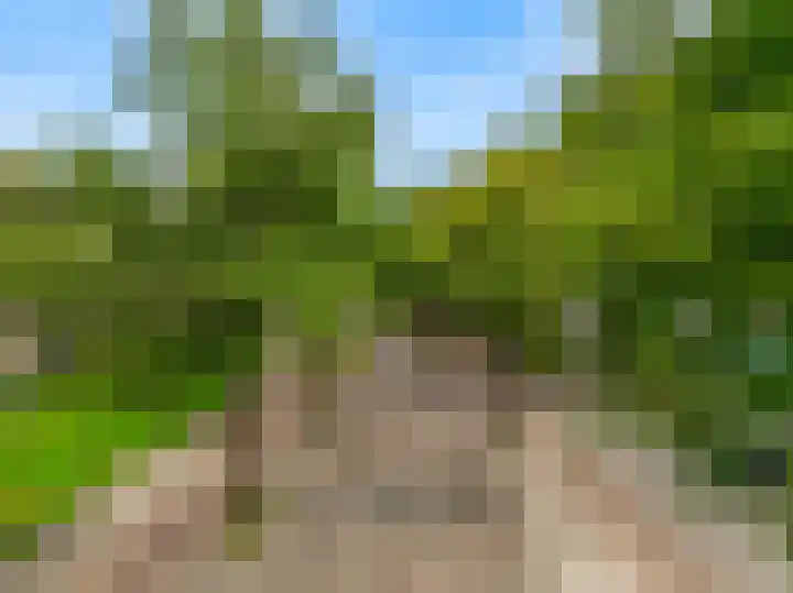 Brinklaan 213 Bussum thumbnail 19