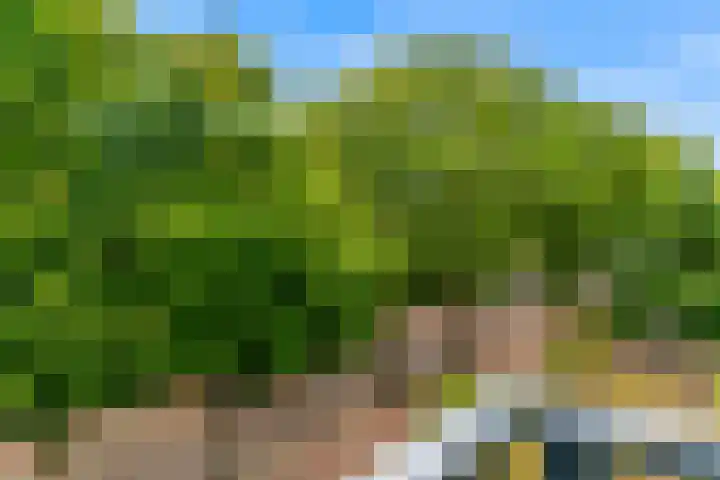 Brinklaan 213 Bussum thumbnail 4
