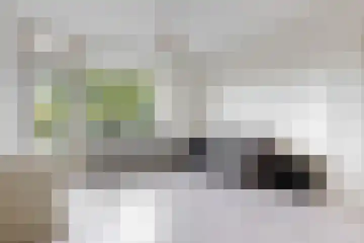 Brinklaan 213 Bussum thumbnail 5