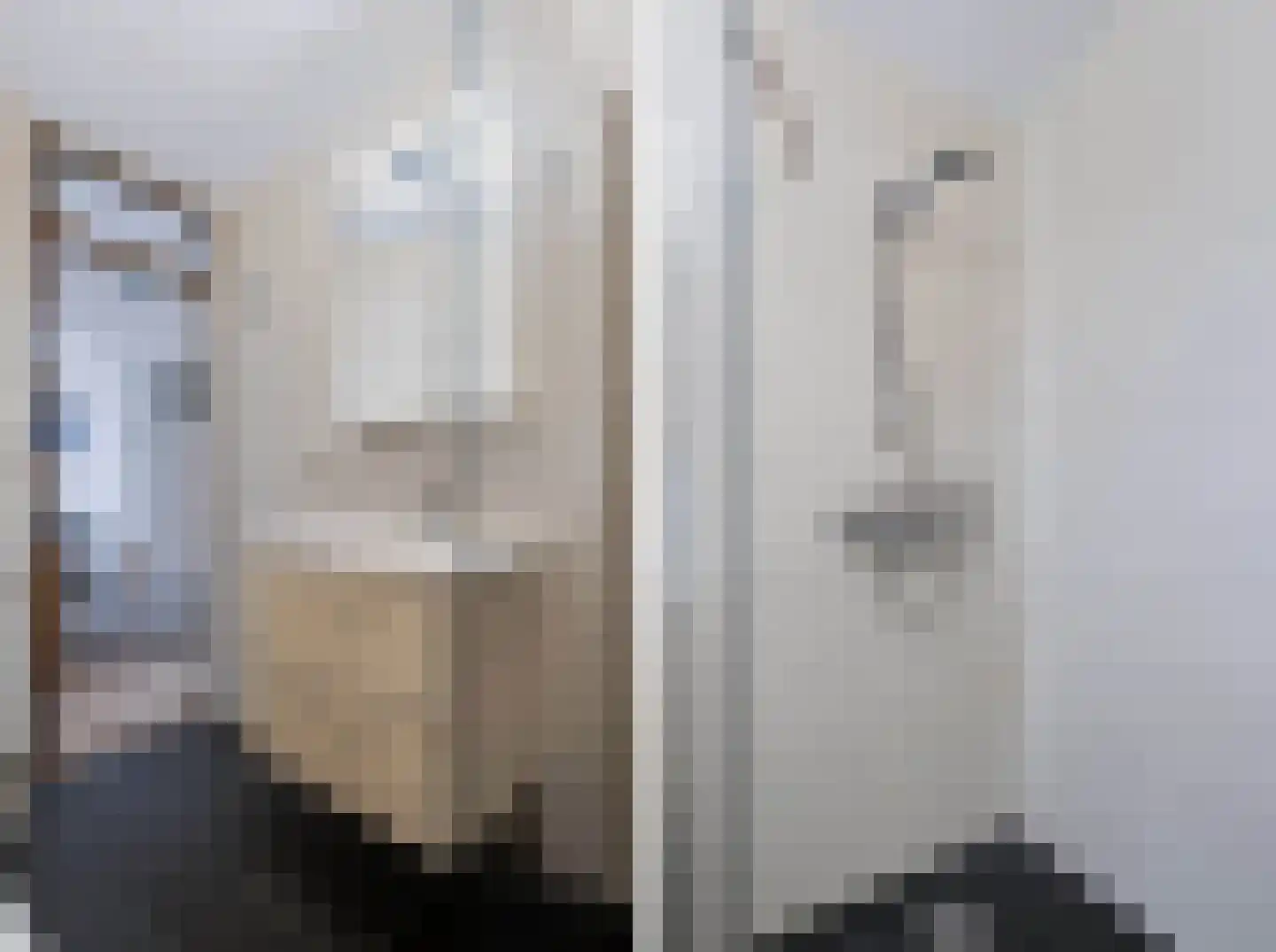 Brinklaan 220 Apeldoorn thumbnail 15