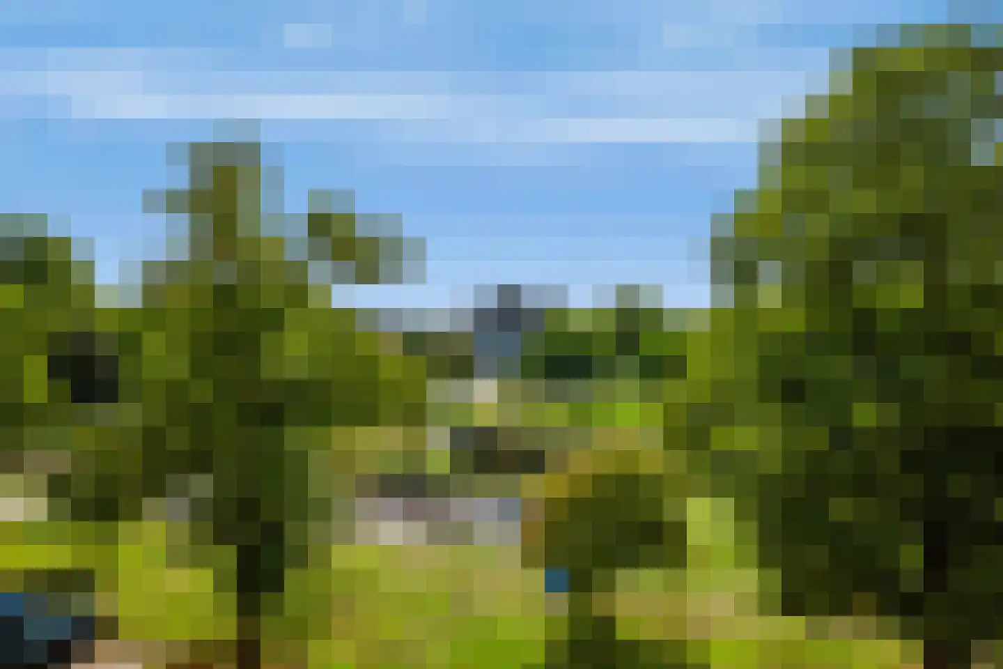 Brinklaan 220 Apeldoorn thumbnail 19
