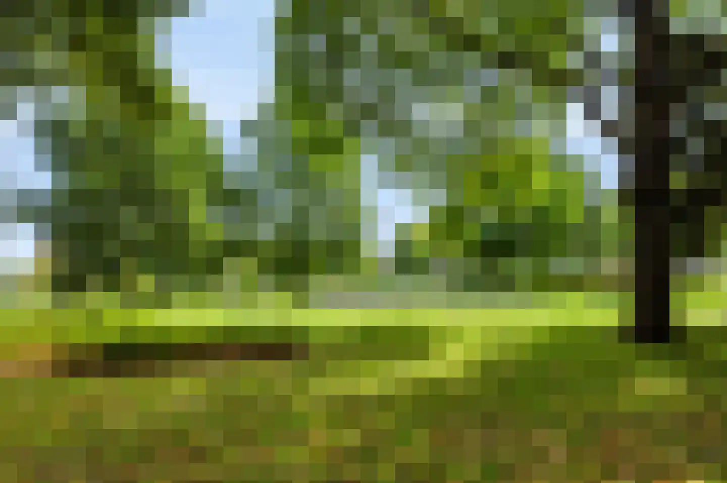 Brinklaan 220 Apeldoorn thumbnail 29
