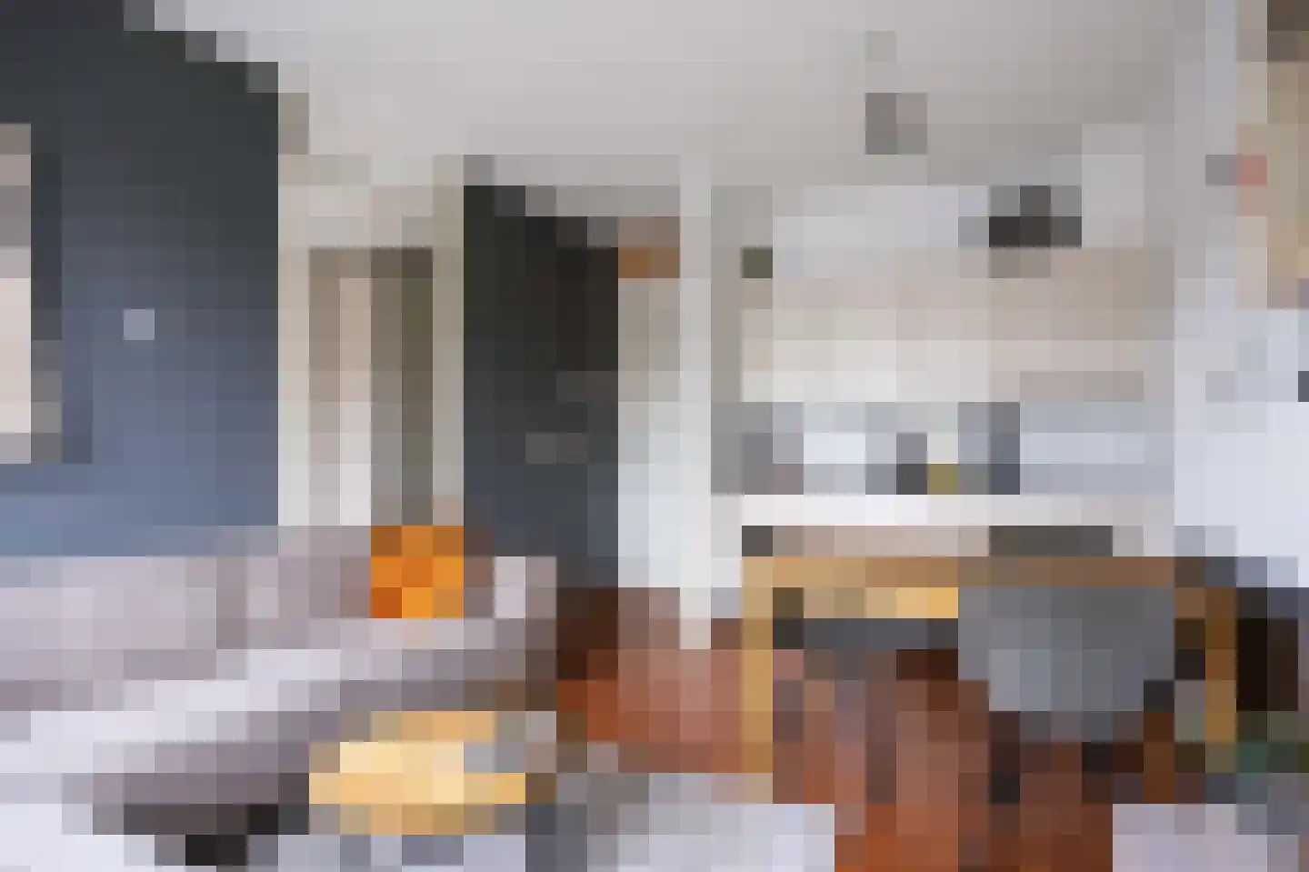 Brinklaan 23 15 Groningen thumbnail 17