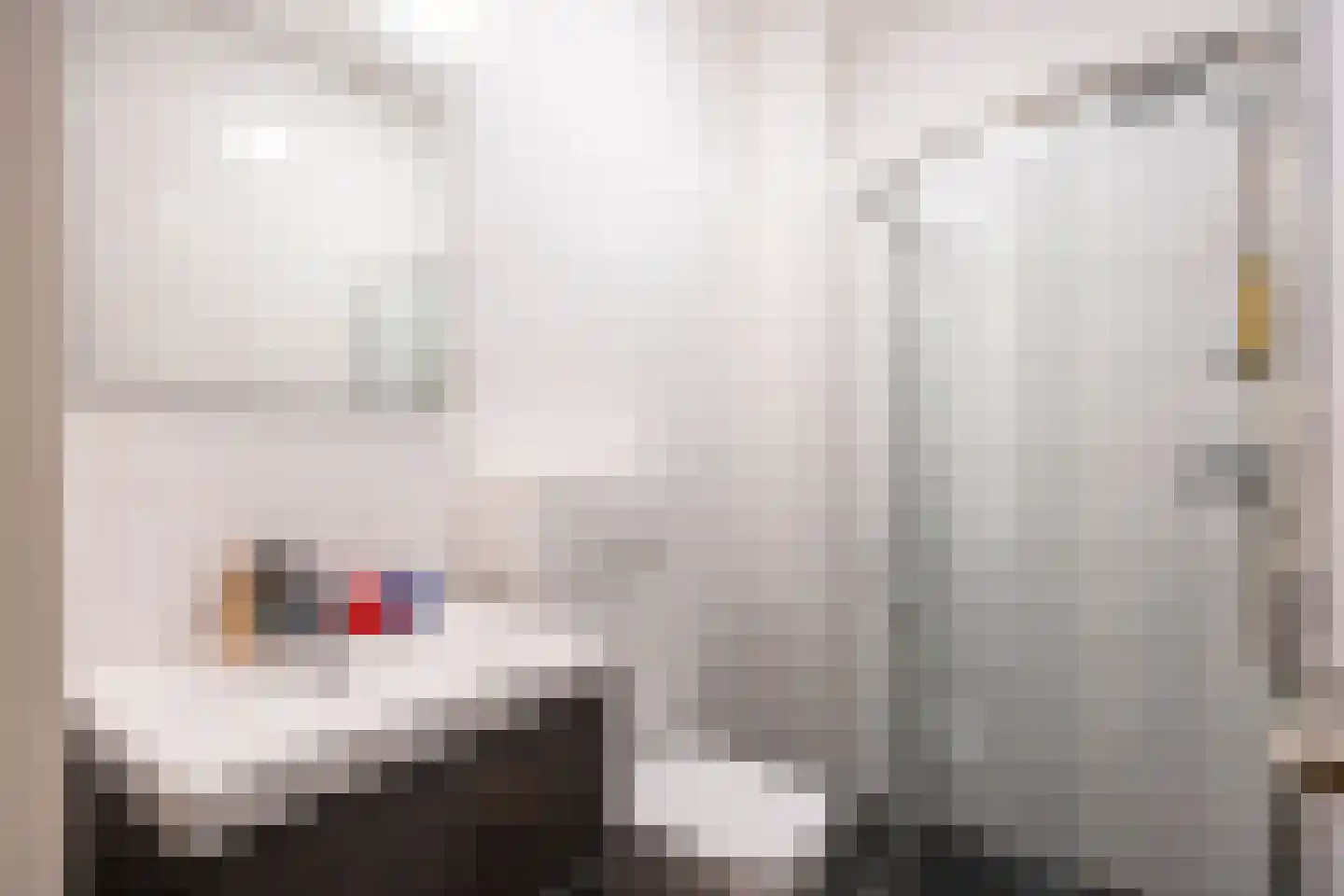 Brinklaan 23 15 Groningen thumbnail 26