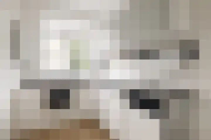 Brinklaan 24 A 1 Bussum thumbnail 11