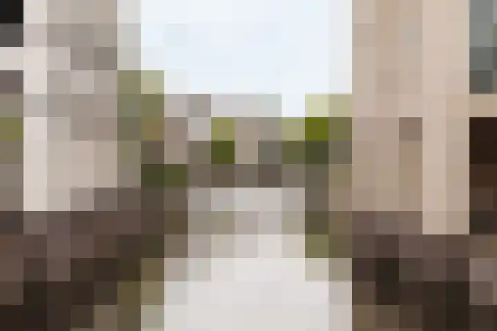 Brinklaan 24 A 1 Bussum thumbnail 21