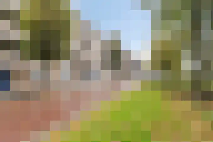 Brinklaan 240 Apeldoorn thumbnail 21